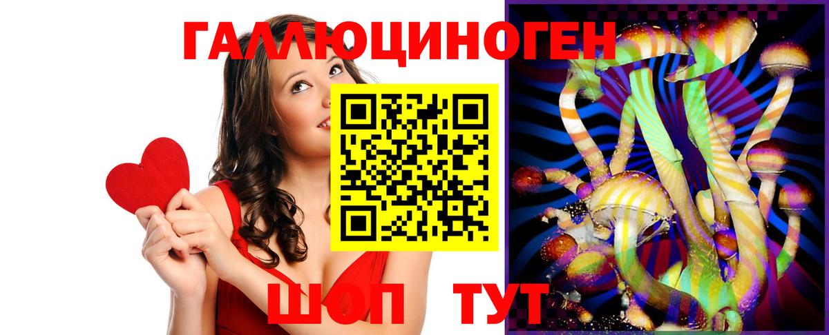 Боровичи  Галлюциногенные грибы ЛСД  Вход с VPN 